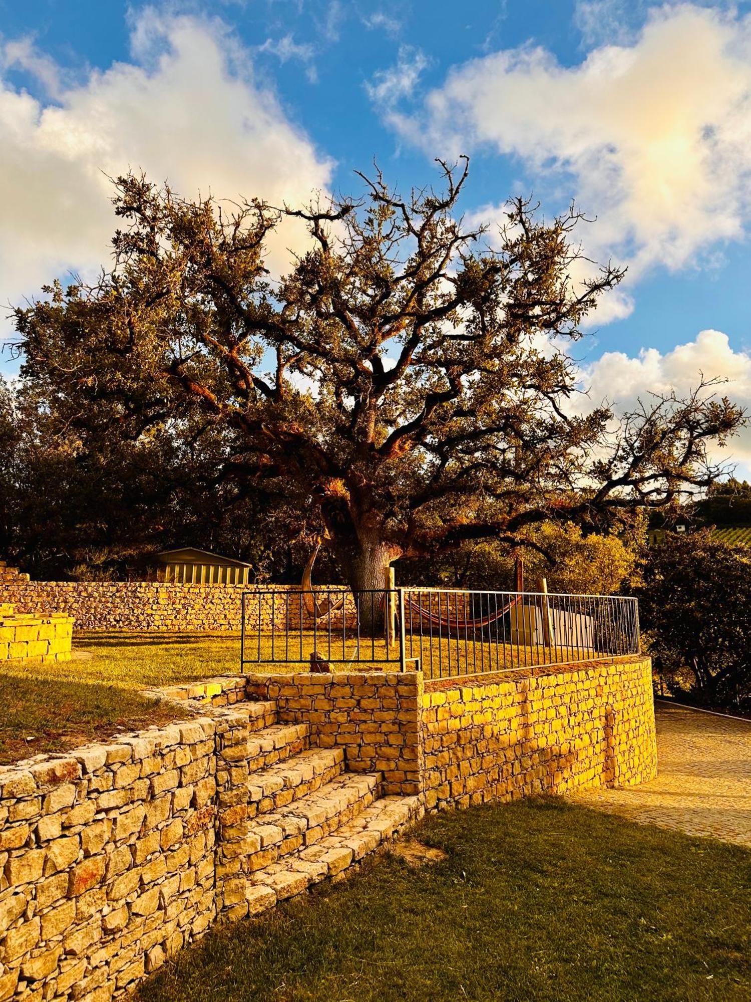 Quinta Boa Vida Villa Alcobaça Exteriör bild
